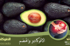 الأفوكادو والقولون
