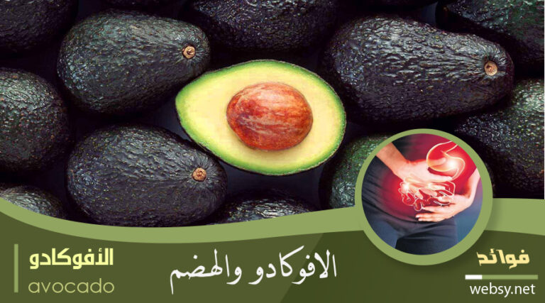 فوائد الأفوكادو لتخفيف أعراض القولون