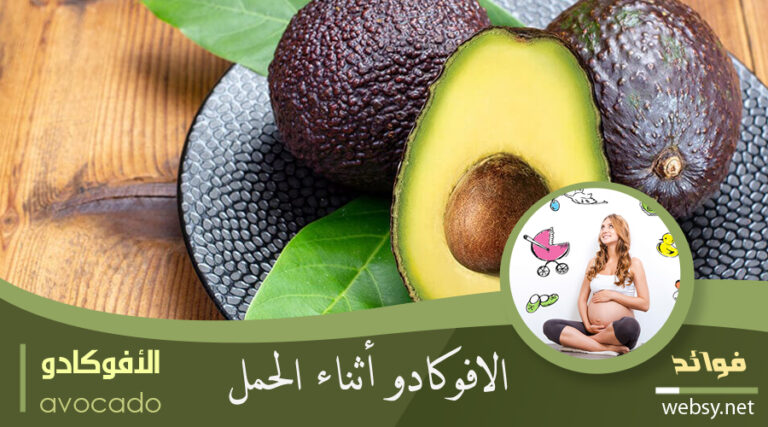 الأفوكادو لتحسين صحة الحامل وصحة جنينها أثناء الحمل