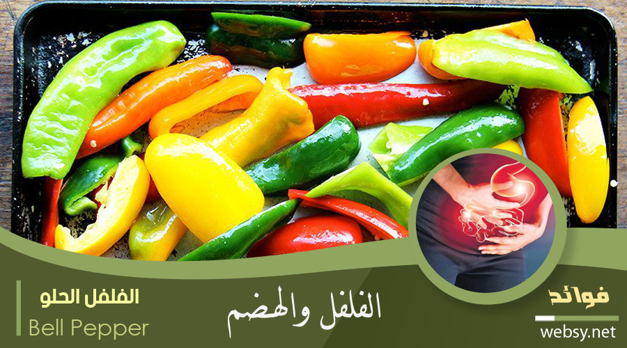 فوائد الفلفل للتخفيف من آلام وإنتفاخات القولون فوائد