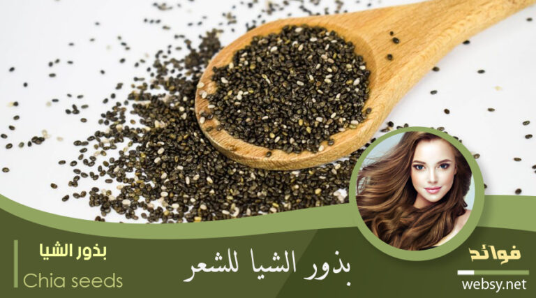 بذور الشيا للشعر وفوائدها