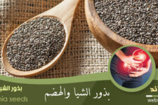 بذور الشيا والقولون