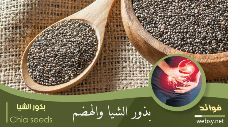 بذور الشيا للقولون