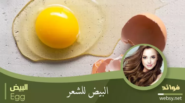 البيض لزيادة قوة الشعر ومنع تساقطه وزيادة لمعانه