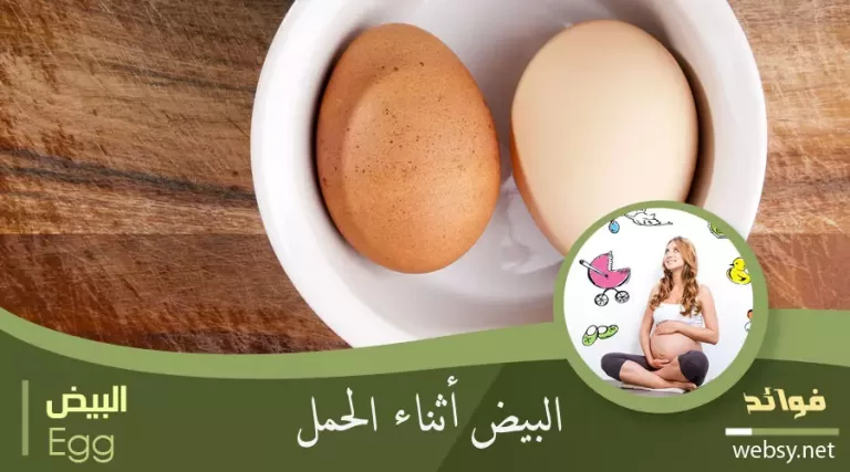 البيض وفوائده العديدة أثناء الحمل