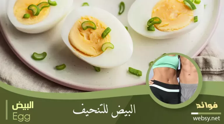 البيض المسلوق للتنحيف وخسارة الوزن وإنقاص الشعور بالجوع