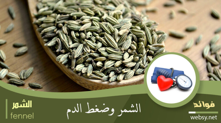 فوائد الشُمّر لمنع ارتفاع ضغط الدم