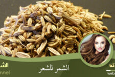 الشمر للشعر
