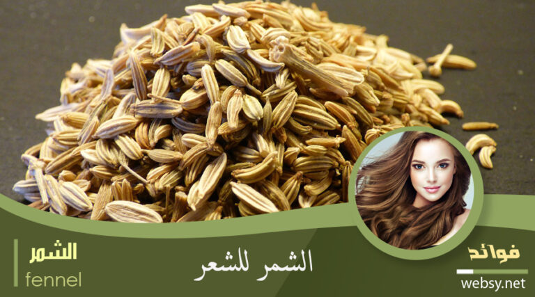 فوائد الشُمّر لِمُحاربة مشاكل قشرة الشعر