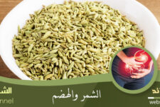 الشمر والقولون