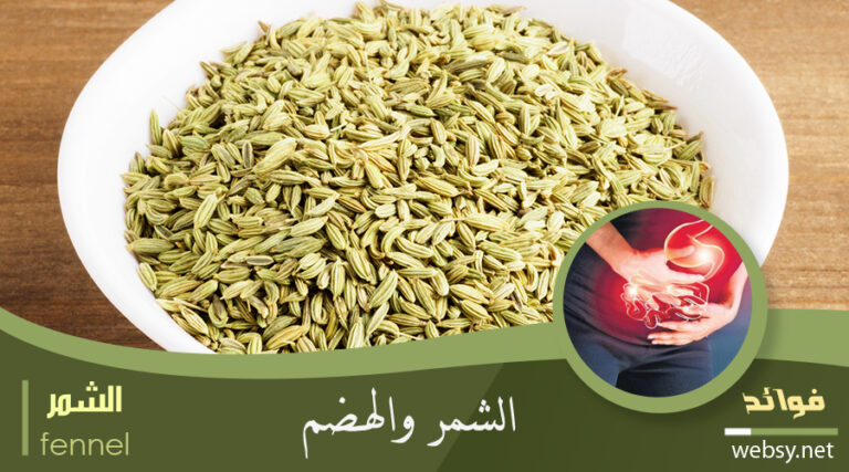 فوائد الشُمّر لتخليص القولون من مُشكلات الجِهاز الهضمي