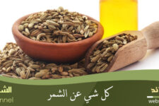 كل شيء عن الشمر