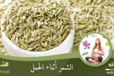 الشمر للحامل