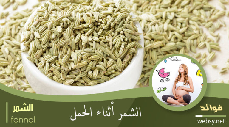 الشُمّر  لتعزيز صحّة الحامل أثناء الحمل