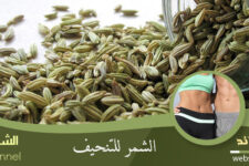 الشمر للتنحيف
