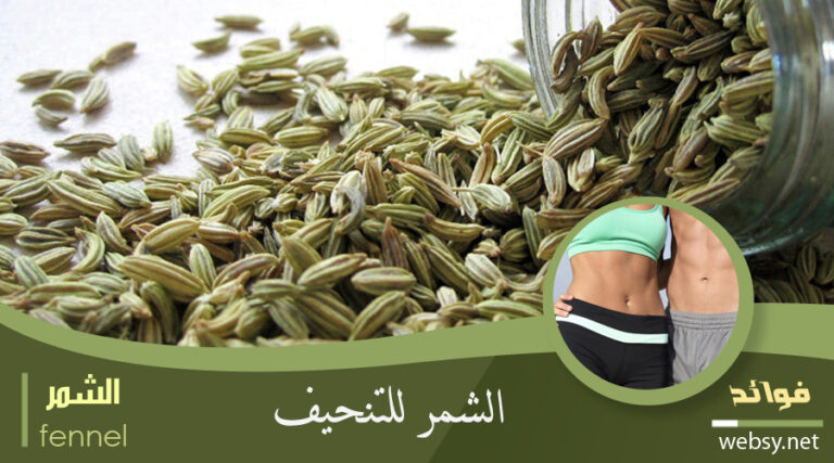 فوائد الشُمّر للتنحيف وخسارة الوزن عن طريق كبح الشهية
