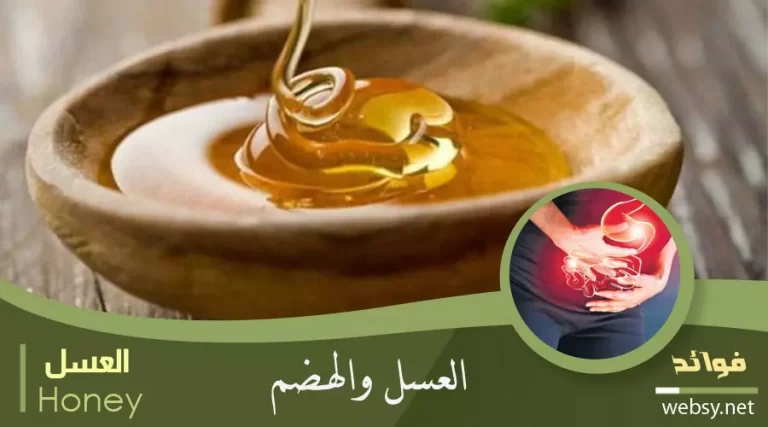 العسل للقولون وعلاج سرطان القولون