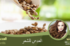 العدس للشعر