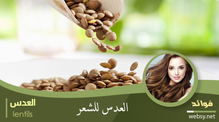 فوائد العدس لتقوية الشعر وزيادة لمعانه
