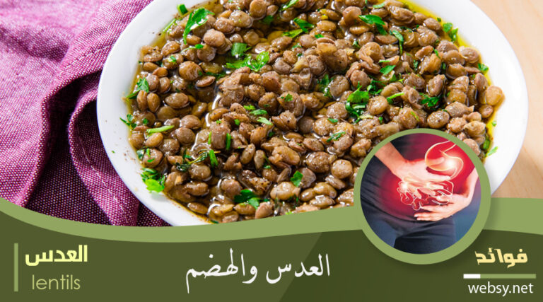 فوائد العدس لِمُعالجة مشاكل القولون العديدة