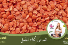 العدس للحامل