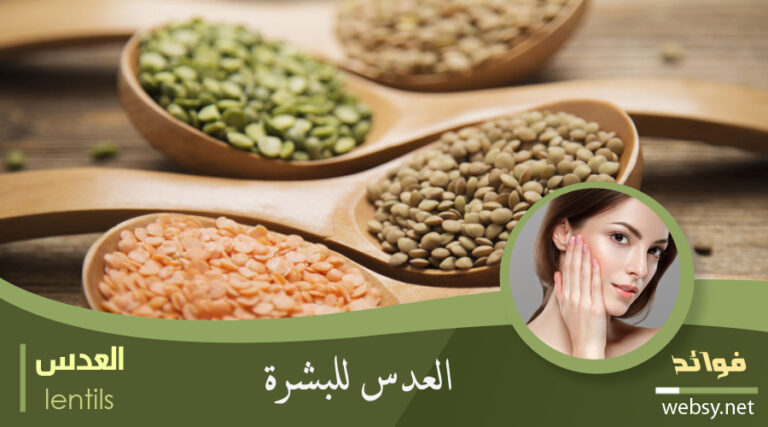 فوائد العدس لتنقية البشرة وتخليصها من المواد الضّارة
