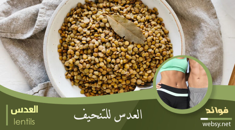 فوائد العدس للتنحيف وخسارة الوزن الزائد