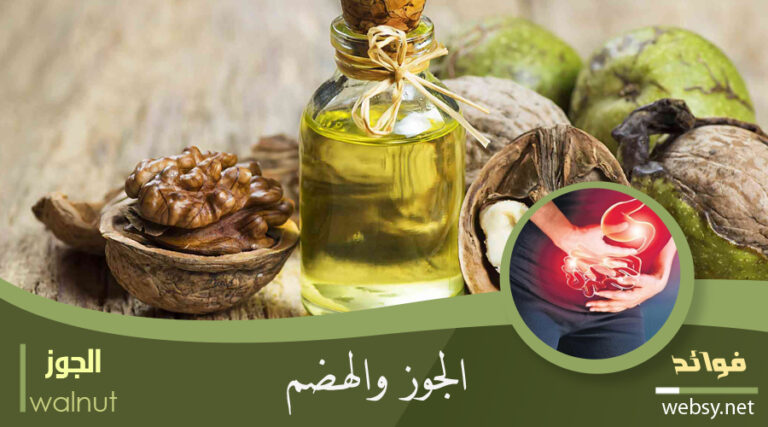 فوائد الجوز للمحافظة علة صحة القولون